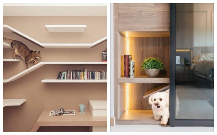 Make Your Pet Feel At Home With These 12 Ideas